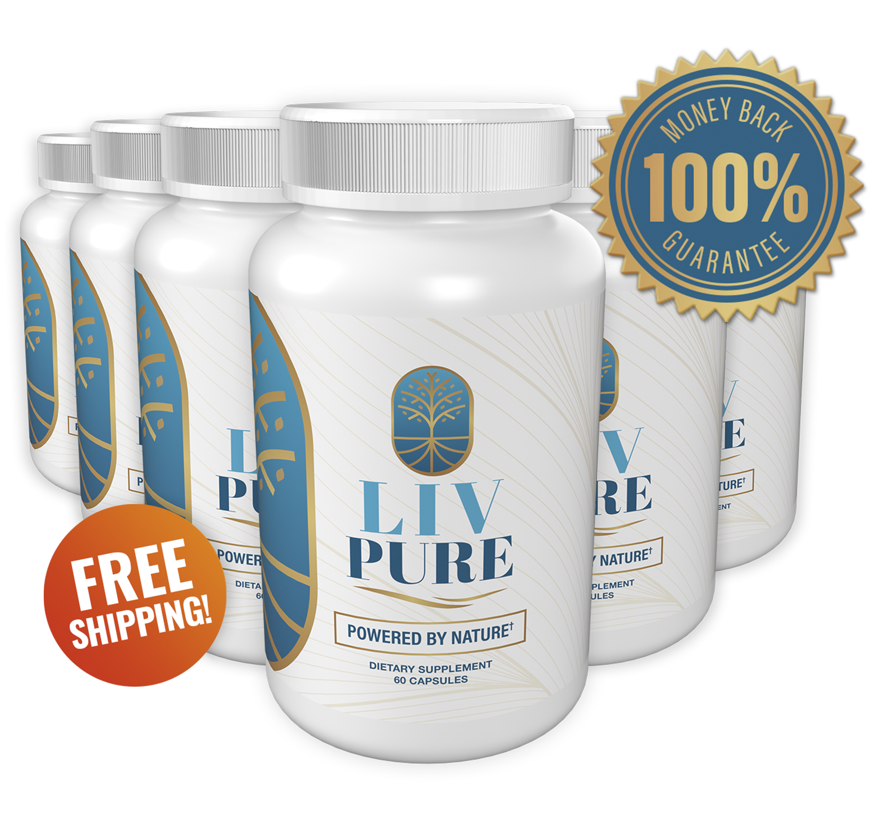 LivPure Product Image
